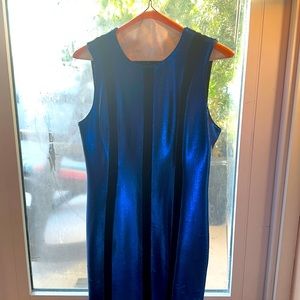 Blue Diane Von Furstenberg Dress
